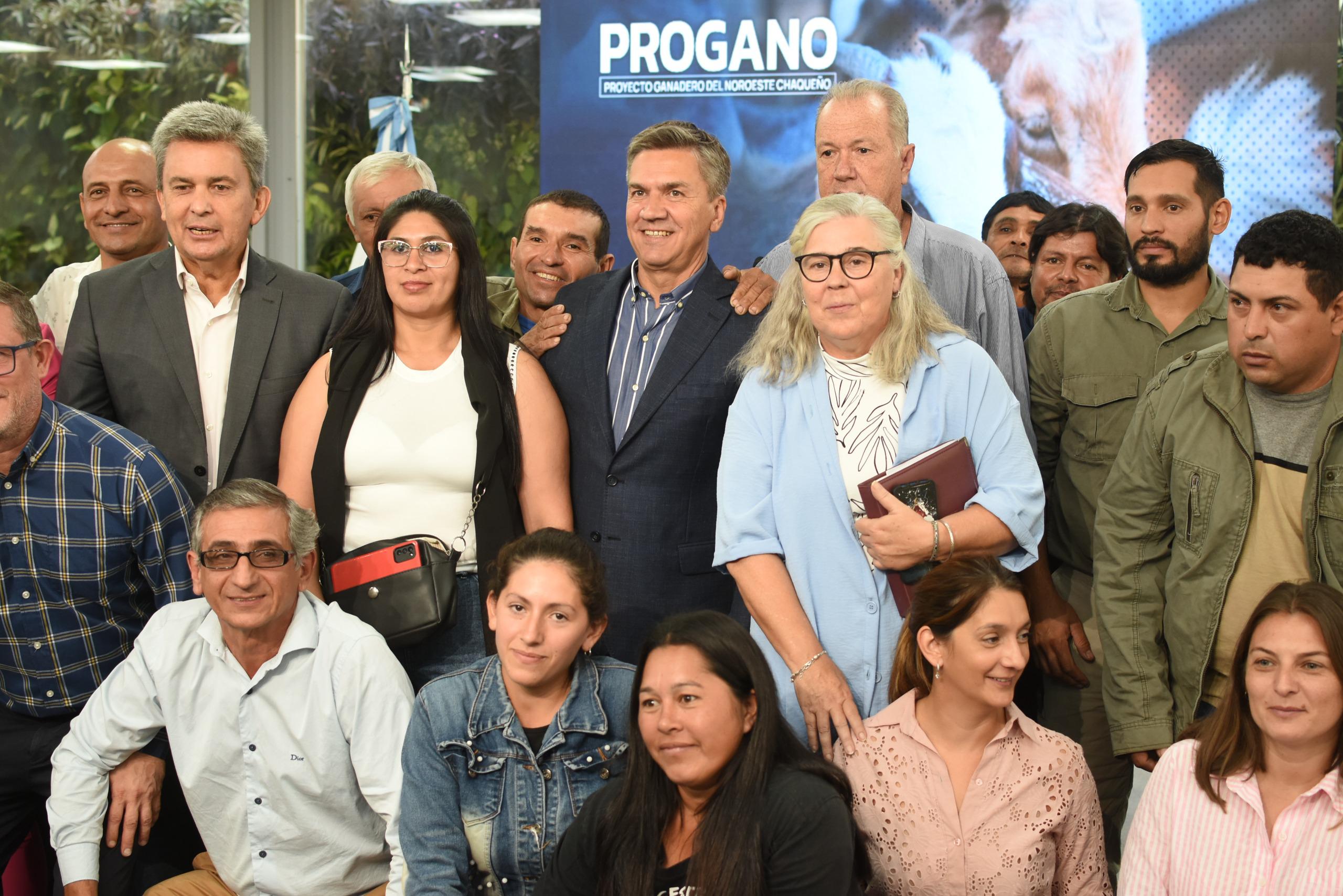 Imagen adicional