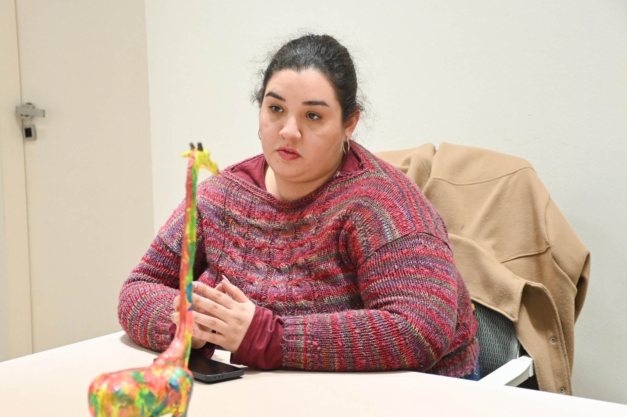 Imagen adicional