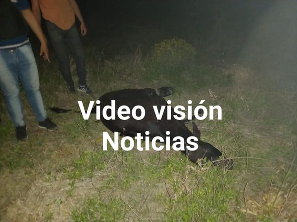 Imagen adicional